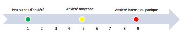 Échelle de mesure de l'anxiété 