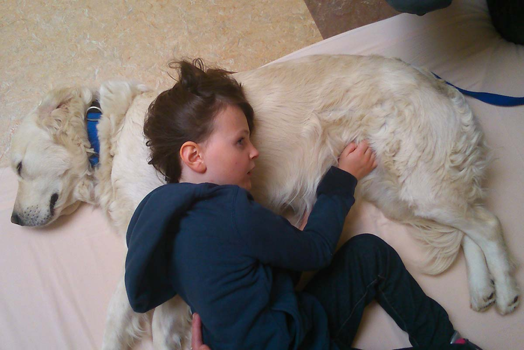 Autisme et médiation animale