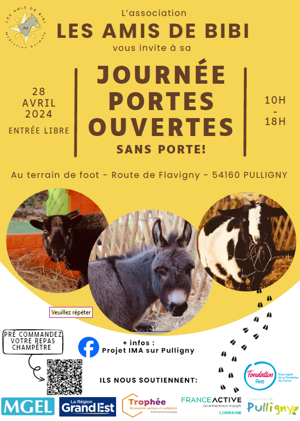 Les amis de Bibi