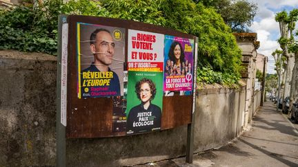 Élections européennes en FALC
